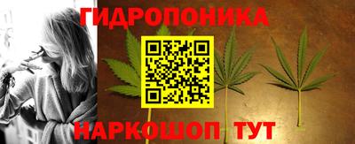 PSILOCYBIN Краснодар