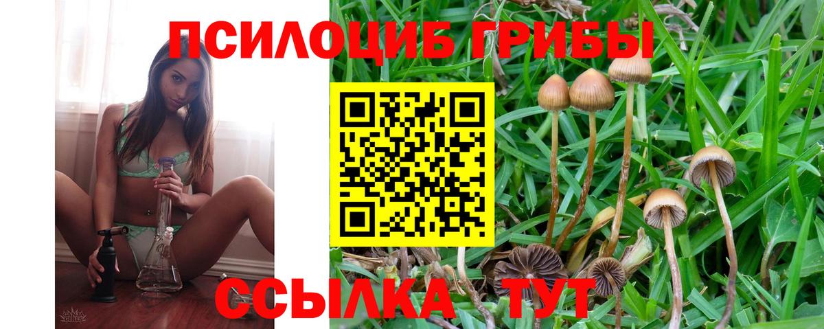Галлюциногенные грибы MAGIC MUSHROOMS Железноводск
