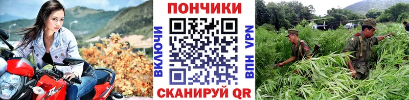 Бошки Шишки марихуана  где найти   kraken ТОР  Железноводск 